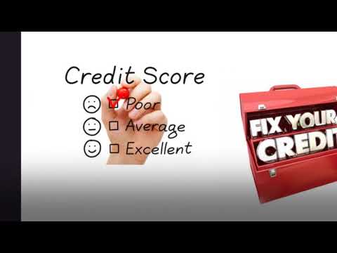 Credit Consultant
