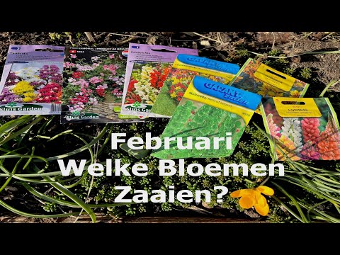 , title : 'Februari   Welke Bloemen kun je Zaaien?'