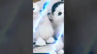 Download lagu 27 Februari 2022 mp3