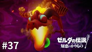 ゼルダの伝説 知恵のかりもの #37【お、お前は...まさか！！】