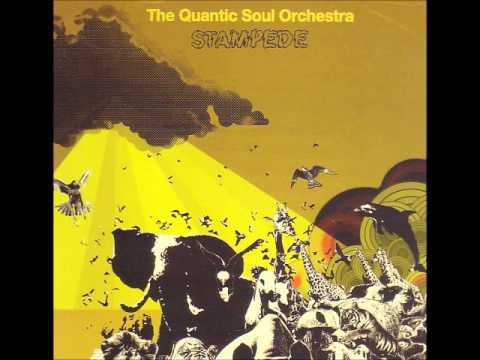 Quantic Soul Orchestra Stampede 2003)