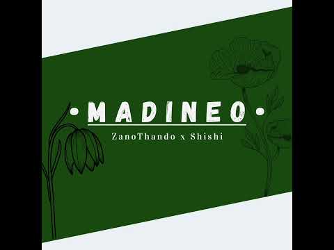 ZanoThando_Shishi - Madineo