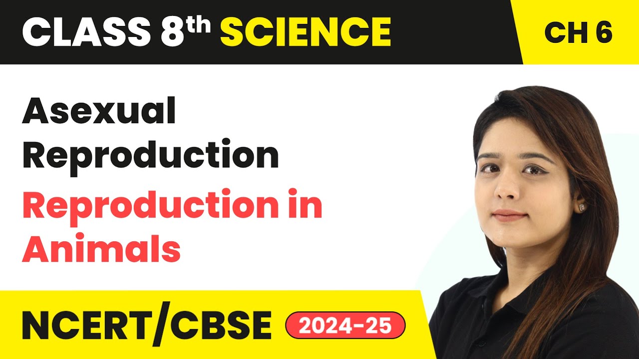 Asexual Reproduction - Reproduction in Animals | Class 8 Science Chapter 6 | CBSE 2024