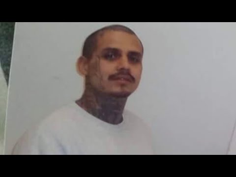 AxFayse - She’s A Snake