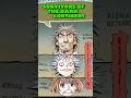 Individuals Who SURVIVED The DARK CONTINENT Anime Hunterxhunter Darkcontinent