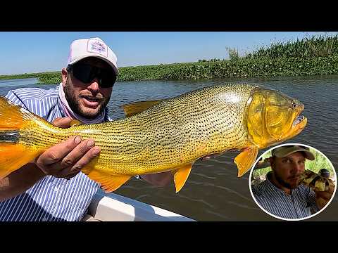 Pesca y fritanga en la isla - Sauce Viejo (Santa fé)