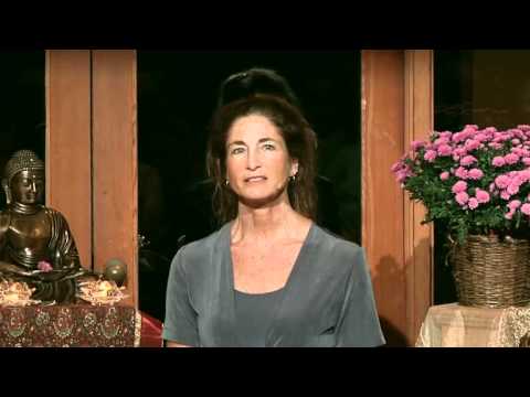 Tara Talks: Relating To Our Natural Aggression - Tara Brach