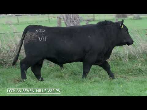 Lot 35  SEVEN HILLS V32 PV