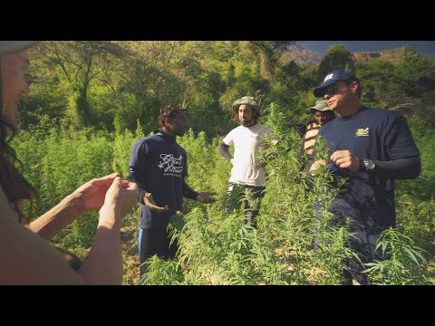 Strain Hunters South Africa Expedition - Episode 2