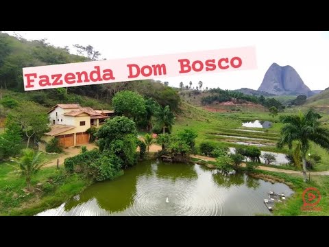 fazenda Dom Bosco Nova Belém mg