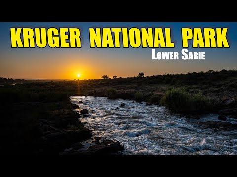 Kruger National Park for a weekend - Camping at Lower Sabie