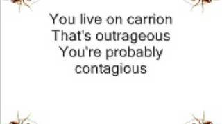 Sleepytime Gorilla Museum - Cockroach (+lyrics)