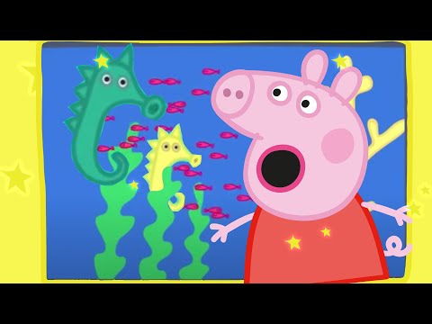 Capa de Peppa Pig - Animais marinhos!