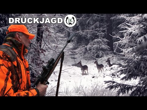 Schnee Drückjagd mit dem DJV Präsidenten - Jagdkrone