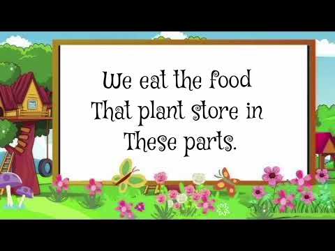 Edible parts of plants | Parts of plants that we eat | BASICS