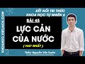 Khoa học tự nhiên 6 Bài 45: Lực cản của nước - trang 160, 161 | Kết nối tri thức