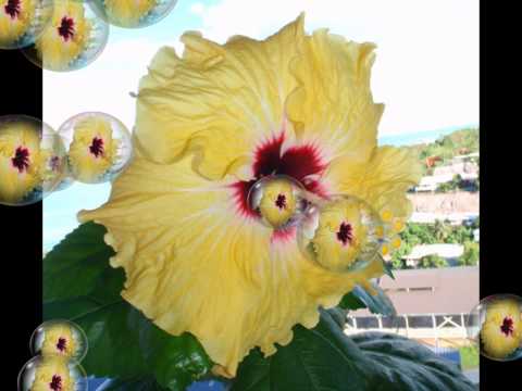 Akino 2014 Fuga one taka