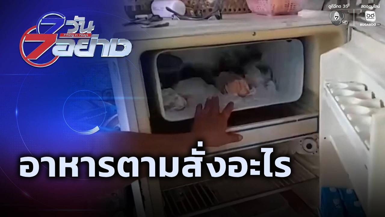 สนามข่าว 7 สี 10 08 69 20 7 วัน 7 อย่าง