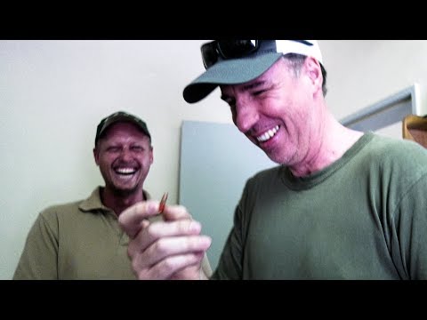 Making of BUNSIS CURVE BULLET 😂