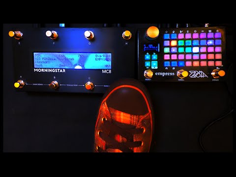 Zoia MIDI Foot Control: Vari-Speed, Repitching, Windowing, and the Power of Long Press Releases