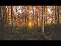 Lloyd Vaan Present Slowed Reverb