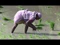 OAT South India Full Day 8 Madurai To Kerala