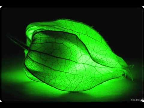 Circle of Change - Anastasia Zannis