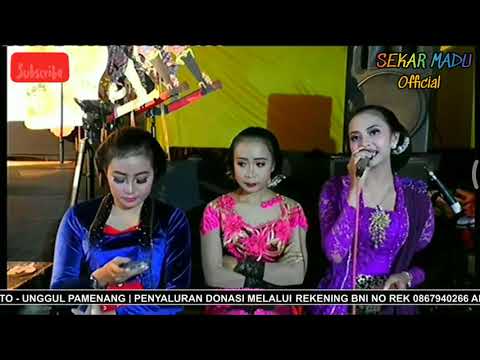 Nyess!!! SEKAR MADU_SOTYA_COVER_RINA ADITAMA