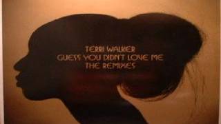 Terri Walker ‎– Guess You Didn't Love Me (Ben Watt Lazy Dog Remix)