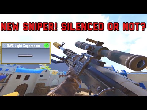 Is This A Good Idea For ZRG? (Silenced)