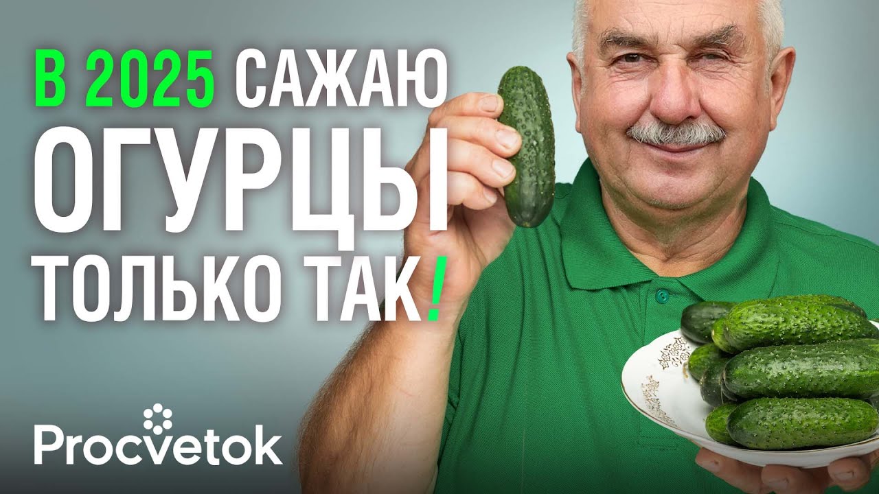 ОГУРЦЫ И АРБУЗЫ БУДУТ РАСТИ КАК НА ДРОЖЖАХ И ЗАВАЛЯТ УРОЖАЕМ при таком способе посадки