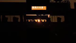 夕日に溶け込む特急列車の通過が最高過ぎる！