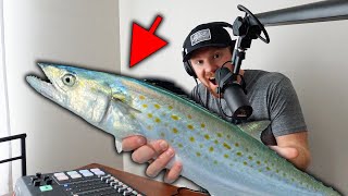 How to Catch Spanish Mackerel - Tools, Tips, and Tricks