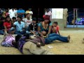 Kkm Amman Kovil 2016