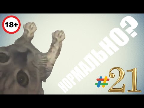 ЮМОРНОЙ ВЫПУСК СМЕШНЫХ ВИДЕО #21. НОРМАЛЬНО? ( ˘▽˘)っ