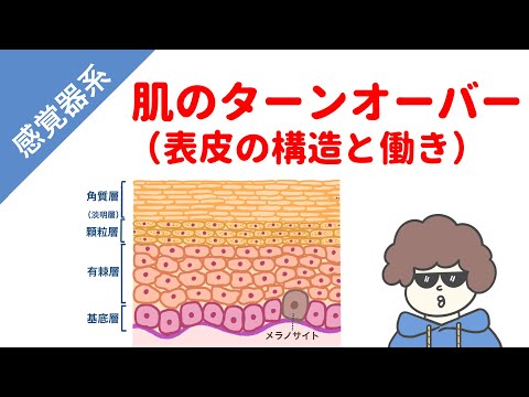 バチノムス・ギガンテウス