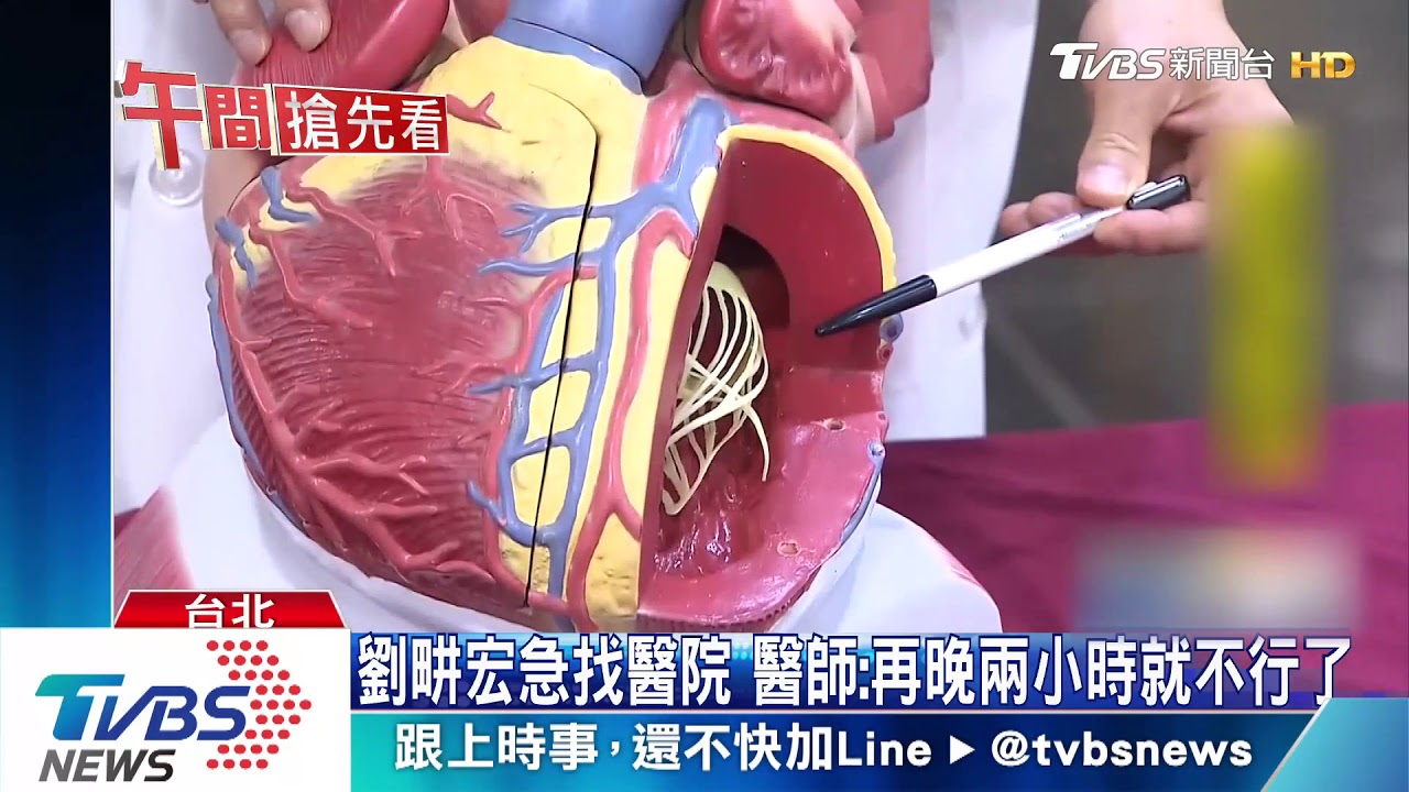 郭彥甫流感病毒攻心臟 赴美送醫險沒命