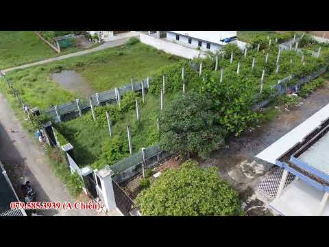 Bán 550m2 full thổ cư. Gần xã Hòa Khánh Nam . gần tập đoàn Cao Lợi Hưng. giá tốt