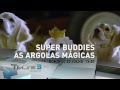 TVC3 Super Buddies As Argolas Mágicas Estreia Domingo 20 De Julho 13h50