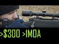 Sub $300 Sub MOA Rifle?? - Remington 783  .300 Winchester Magnum (soft tip ammunition)
