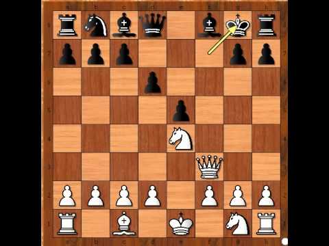 Skakač je presudio - KREJCIK vs GOTTLIEB  - Aljehinova odbrana # 312