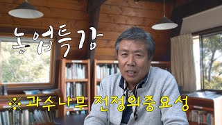[농업특강]과수나무 전정의 필요성
