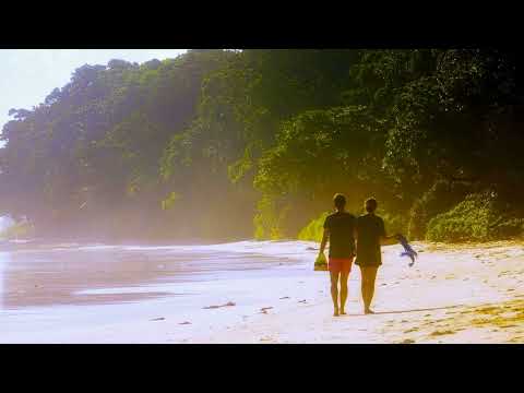 Mazelo Nostra Beach Hopper