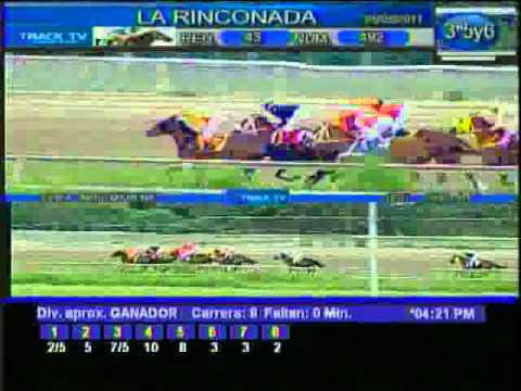 Copa Miss Marena 2011 - La Rinconada