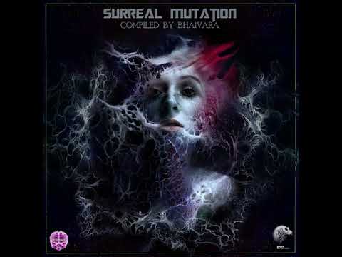 05 The Concept Nemesis - Flight of Fancy