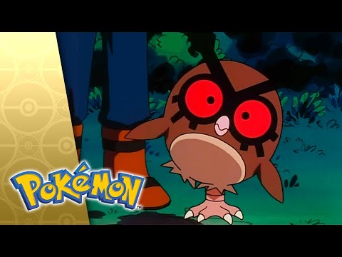 Illusion Confusion! | POKÉMON FULL EPISODE 5 | Season 3