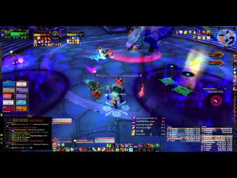 Valiona & Theralion Normal Guide by Seez (HUN)