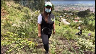 ¡Sembramos más de 1.300 árboles en el Cerro el Majuy!