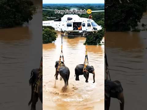 🚁 Heartbreaking Flood Rescue! Helicopters Save Villagers & Elephants 🌊😭 | Realistic Cinematic 8K