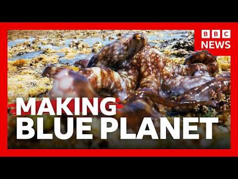 What it takes to make Blue Planet III | BBC News